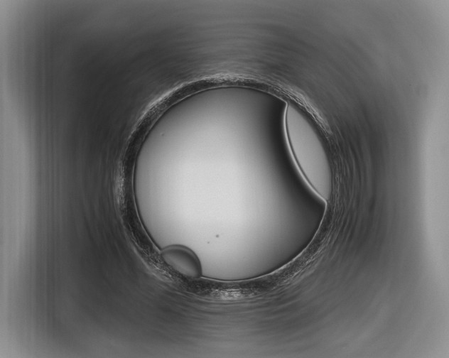 X0000116420588200912081201