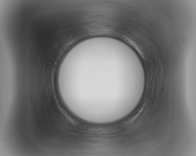 X0000116420589200912081201