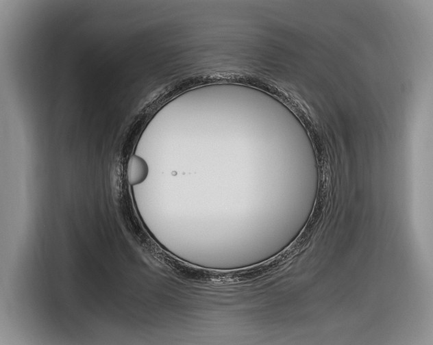 X0000116420591200912081201