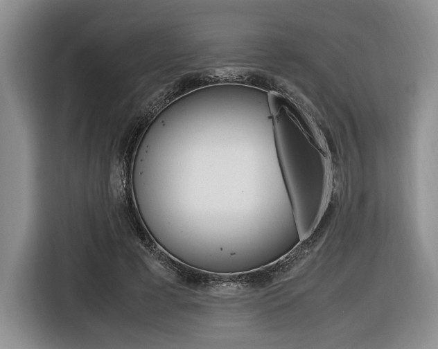 X0000116420593200912081201
