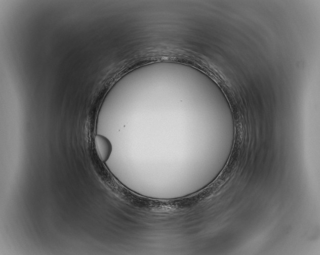 X0000116420594200912081201