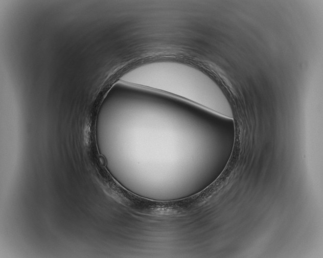 X0000116420596200912081201