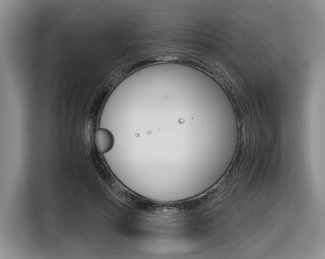X0000116420598200912081201