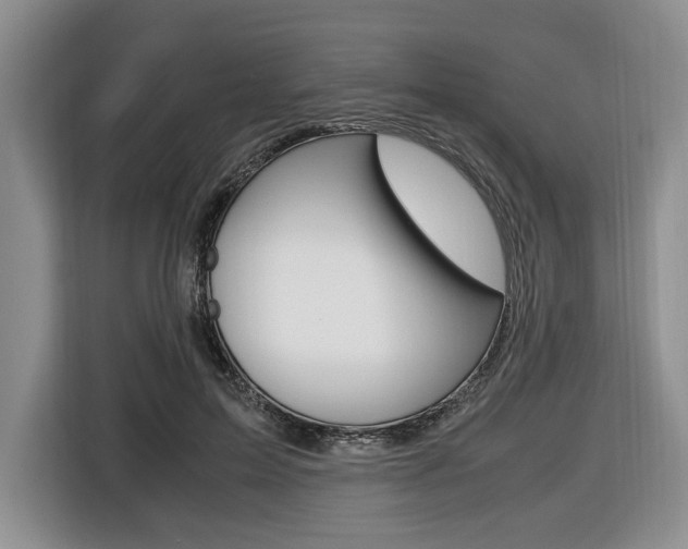 X0000116420599200912081201