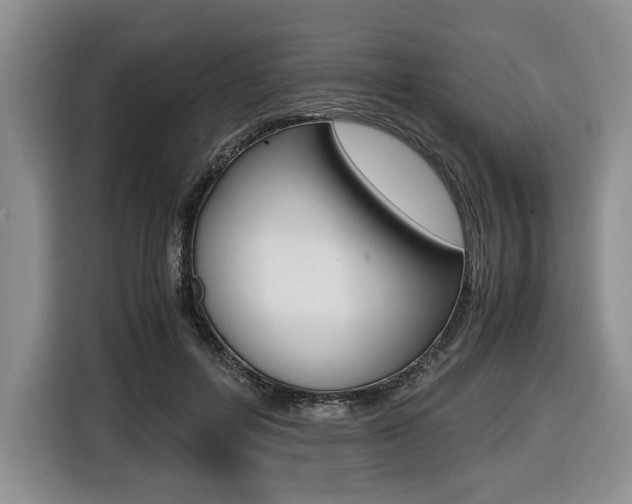 X0000116420600200912081201