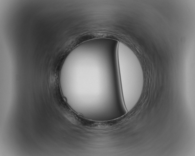X0000116420601200912081201