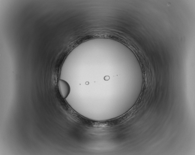 X0000116420602200912081201