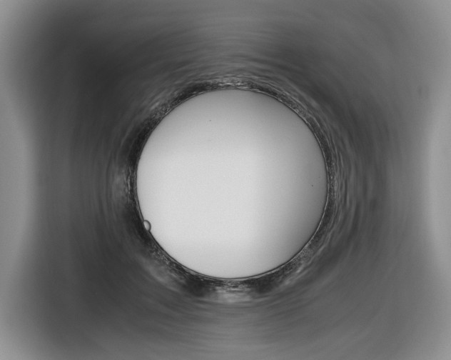X0000116420603200912081201