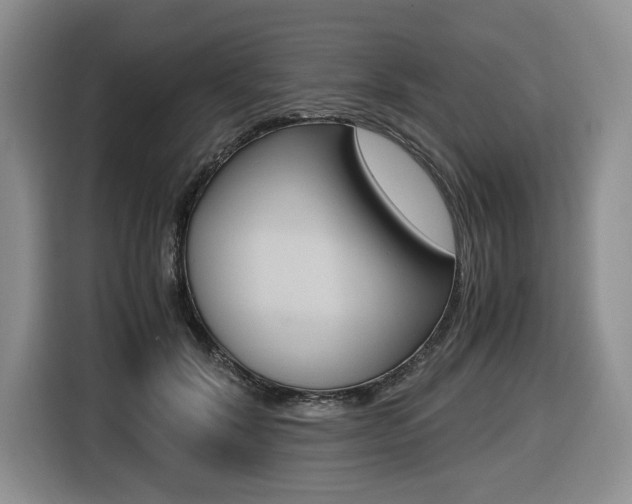 X0000116420604200912081201