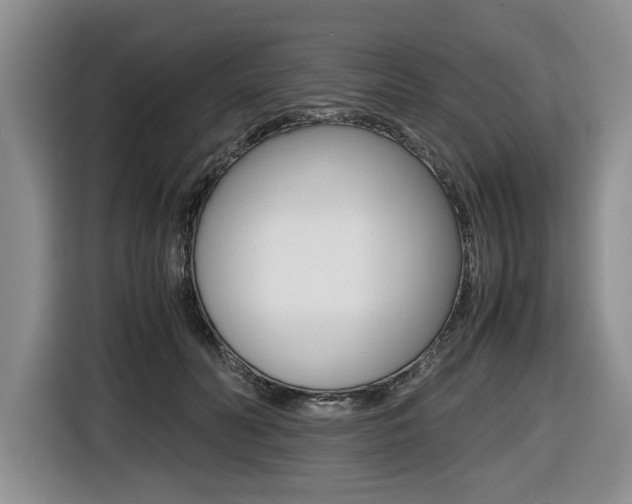 X0000116420606200912081201