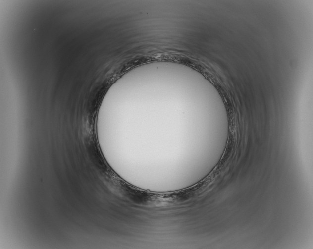 X0000116420607200912081201