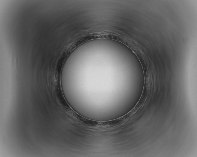 X0000116420608200912081201