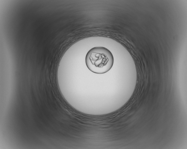 X0000116420611200912081201