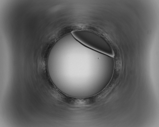 X0000116420613200912081201