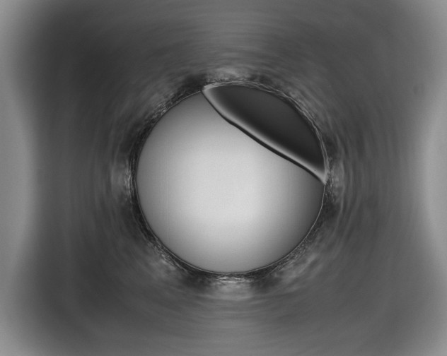 X0000116420617200912081201