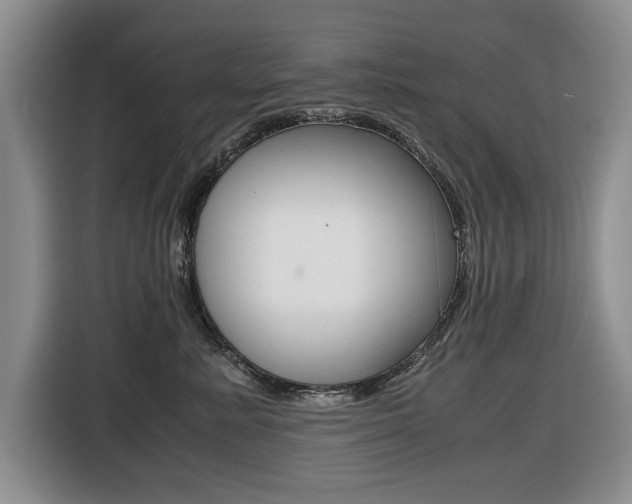 X0000116420619200912081201