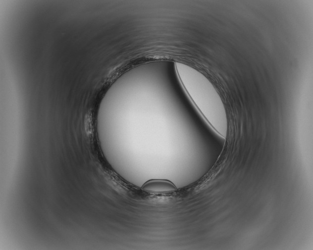 X0000116420620200912081201