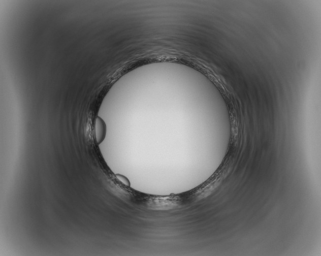 X0000116420622200912081201