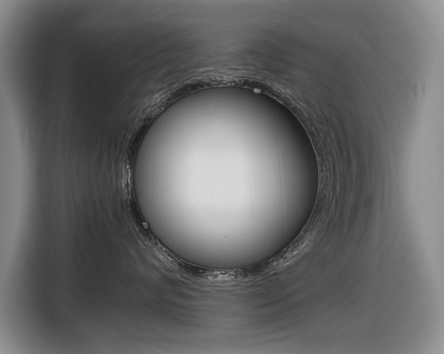 X0000116420624200912081201
