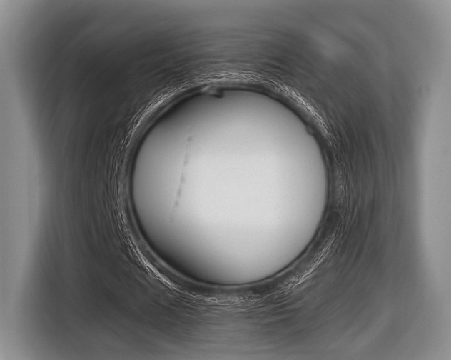 X0000116420625200912081200