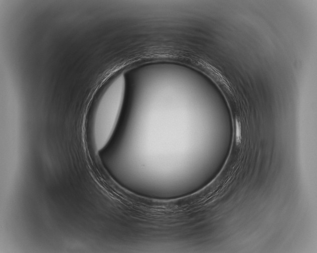 X0000116420627200912081200