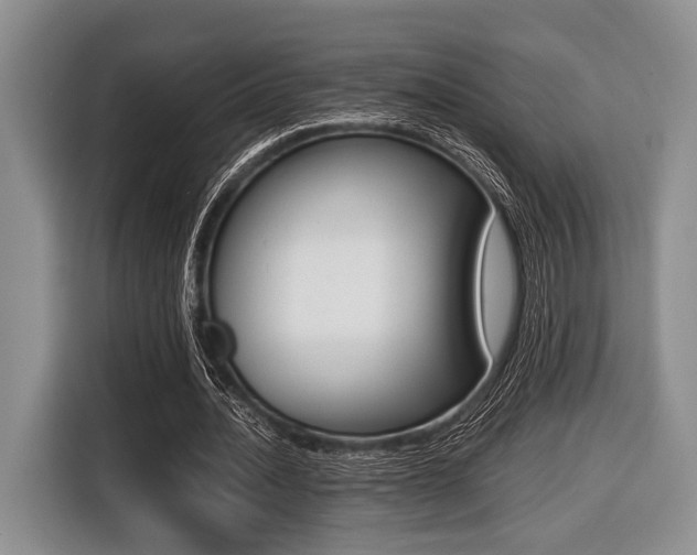 X0000116420628200912081200