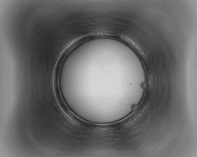 X0000116420629200912081200