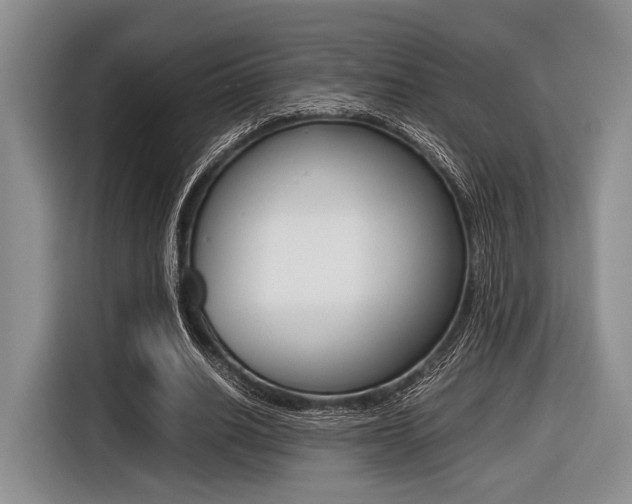X0000116420630200912081200