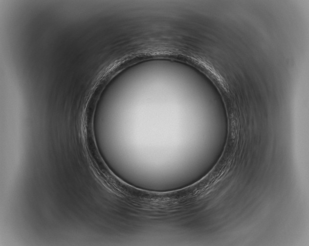 X0000116420631200912081200