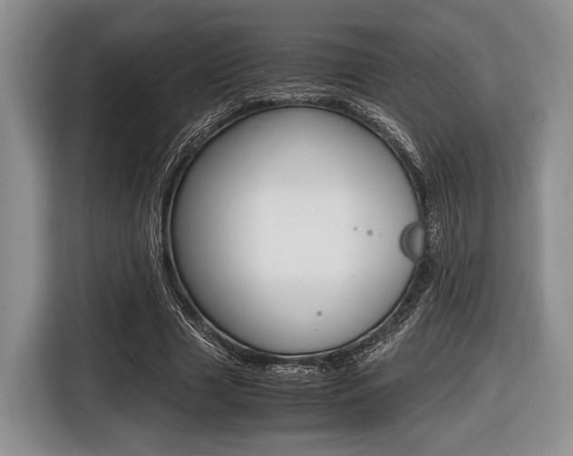 X0000116420633200912081200