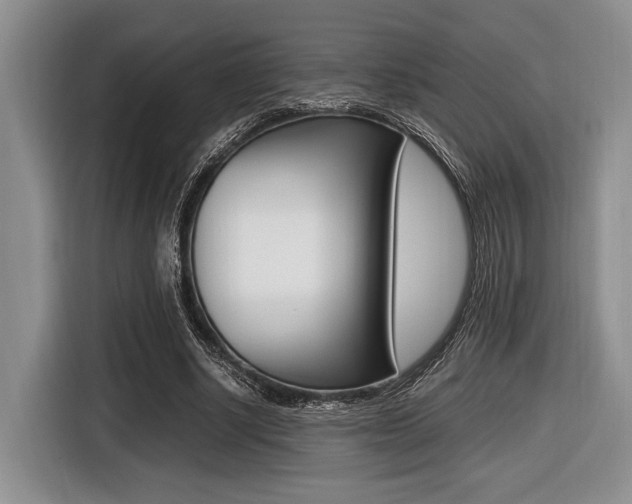 X0000116420634200912081200