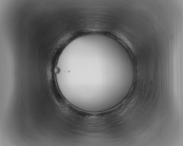 X0000116420635200912081200