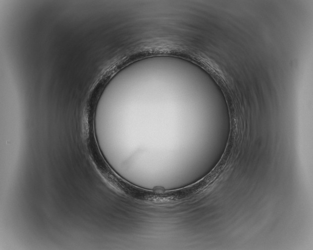 X0000116420638200912081200