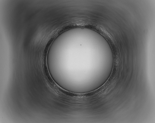 X0000116420639200912081200