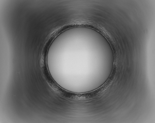 X0000116420640200912081200