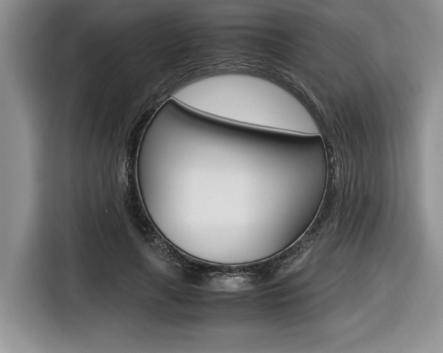 X0000116420643200912081200