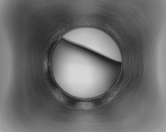 X0000116420644200912081200