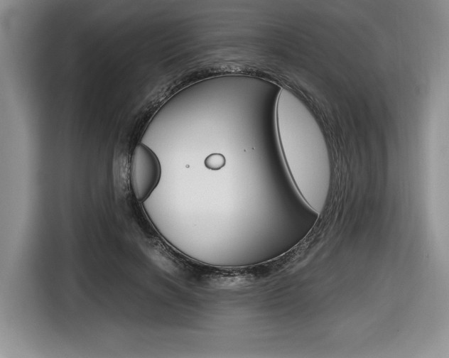 X0000116420646200912081200