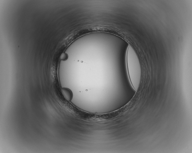 X0000116420648200912081201
