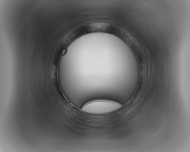 X0000116420649200912081201