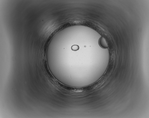 X0000116420651200912081201