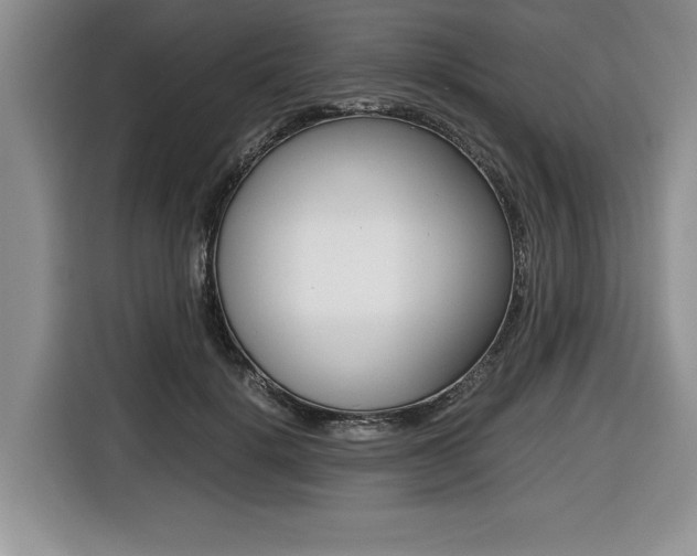 X0000116420652200912081201