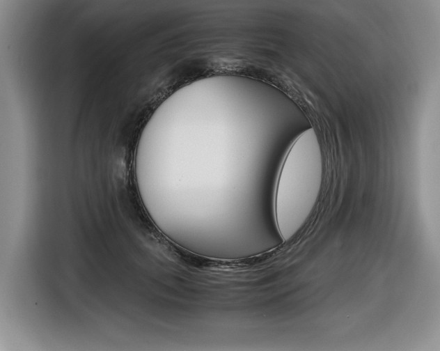 X0000116420655200912081201