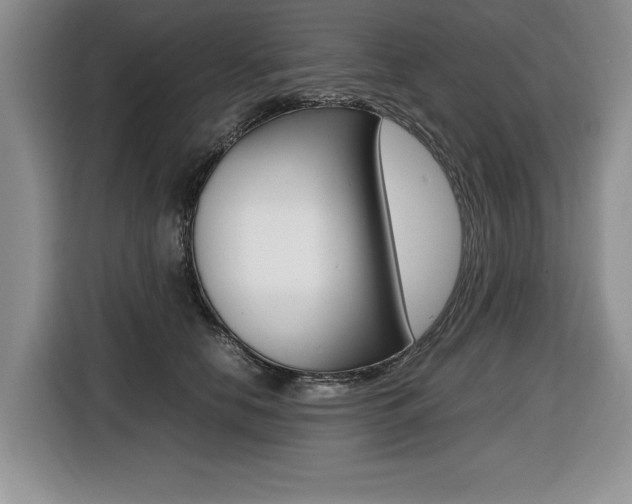 X0000116420658200912081201