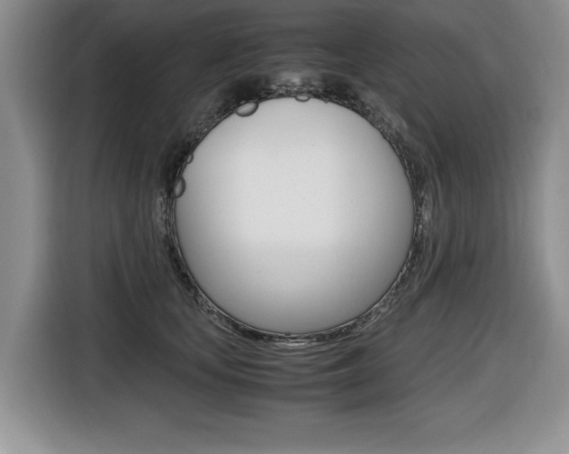 X0000116420659200912081201