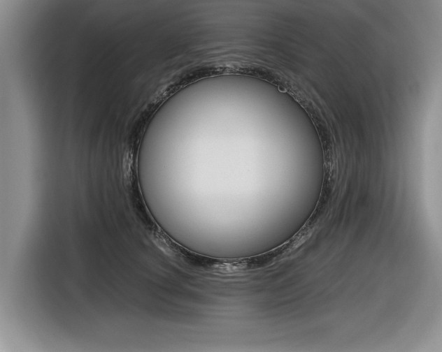 X0000116420660200912081201