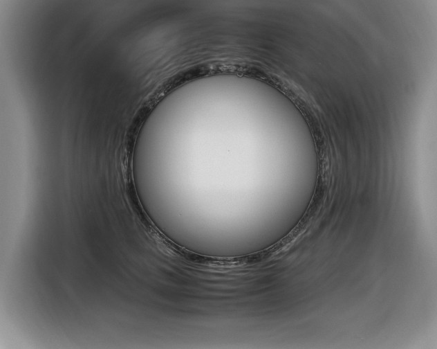 X0000116420661200912081201