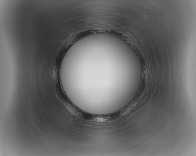X0000116420662200912081201