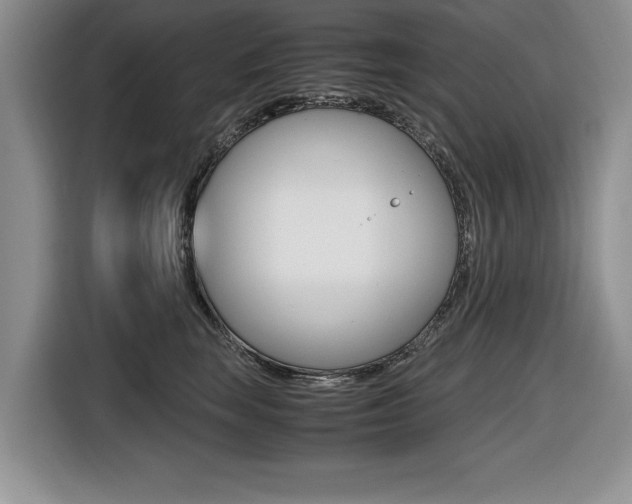 X0000116420663200912081201