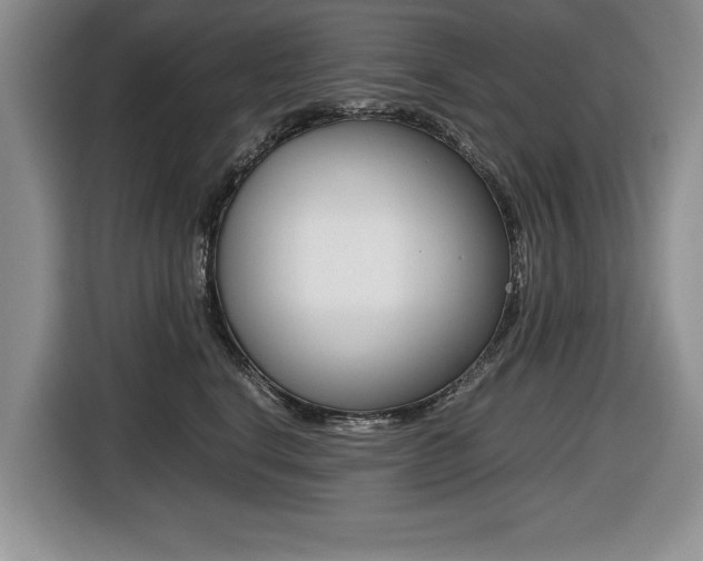 X0000116420664200912081201